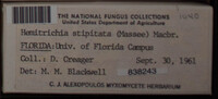 Image Associated With the Occurence